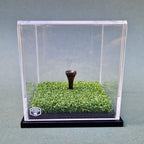 Golf Ball Display Case
