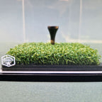 Golf Ball Display Case