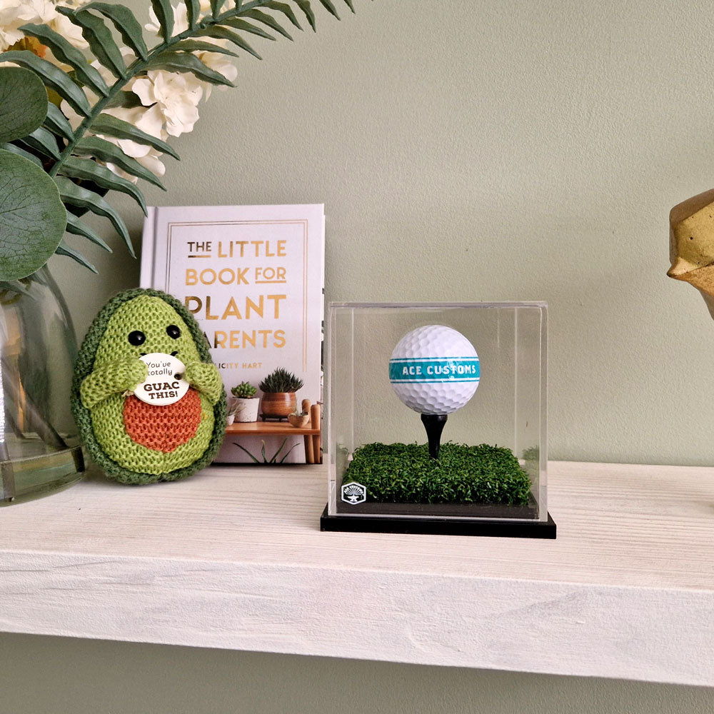 Golf Ball Display Case