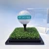 Golf Ball Display Case - Image 4