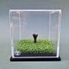 Golf Ball Display Case - Image 7